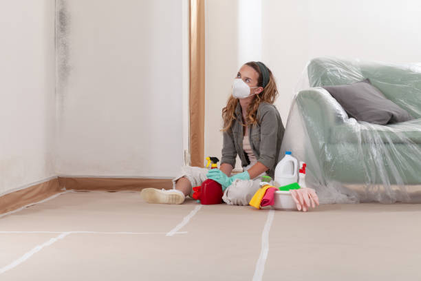 Reliable Mold Remediation contractor in Port Reading, NJ by Cheap Mold Removal